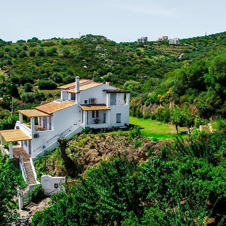 Von Sophia / The House